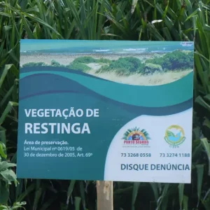 vegetacao-de-restinga-home vegetacao-de-restinga-home